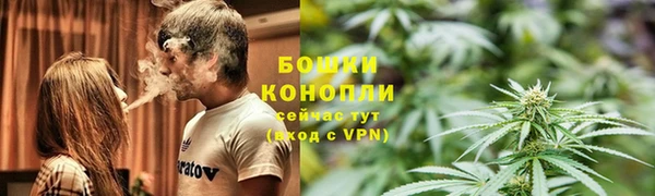 гидра Аркадак