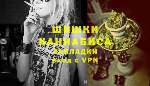 стафф Арсеньев