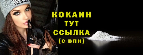 гидра Аркадак