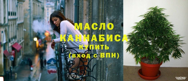 стафф Арсеньев