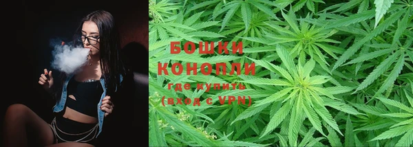 гидра Аркадак