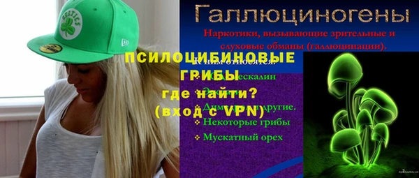 стафф Арсеньев